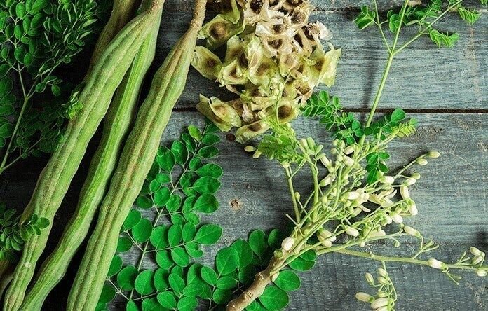 Moringa